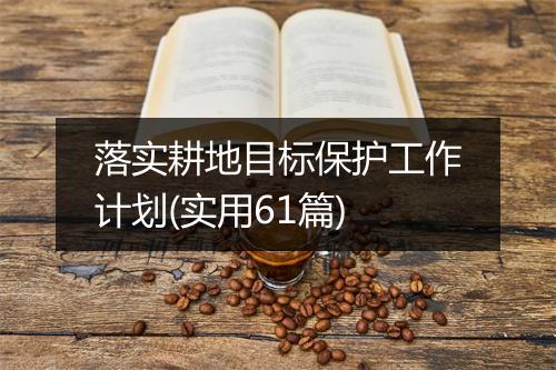 落实耕地目标保护工作计划(实用61篇)
