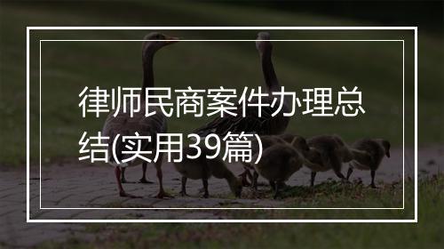 律师民商案件办理总结(实用39篇)