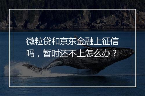 微粒贷和京东金融上征信吗，暂时还不上怎么办？