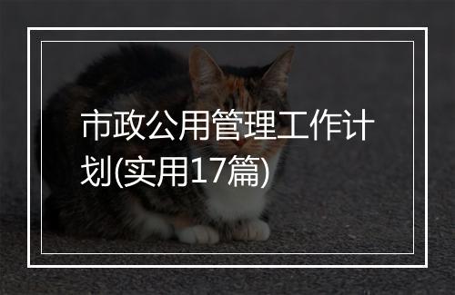 市政公用管理工作计划(实用17篇)