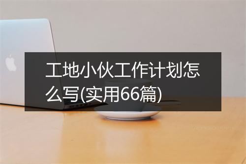 工地小伙工作计划怎么写(实用66篇)