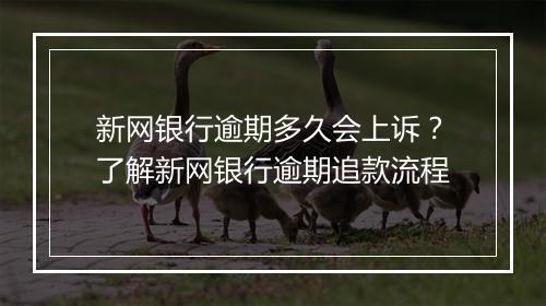 新网银行逾期多久会上诉？了解新网银行逾期追款流程