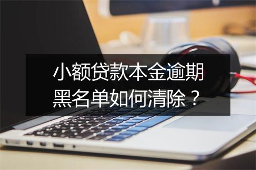 小额贷款本金逾期黑名单如何清除？