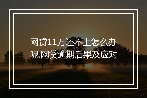 网贷11万还不上怎么办呢,网贷逾期后果及应对