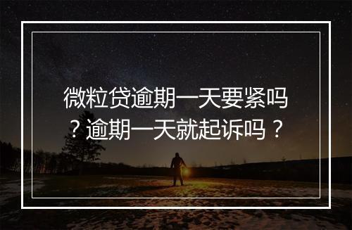 微粒贷逾期一天要紧吗？逾期一天就起诉吗？