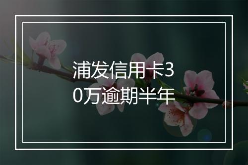 浦发信用卡30万逾期半年
