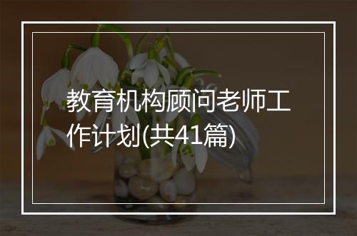 教育机构顾问老师工作计划(共41篇)