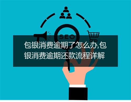 包银消费逾期了怎么办,包银消费逾期还款流程详解