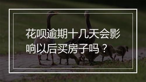 花呗逾期十几天会影响以后买房子吗？