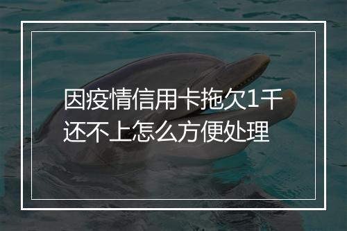 因疫情信用卡拖欠1千还不上怎么方便处理