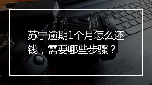 苏宁逾期1个月怎么还钱，需要哪些步骤？