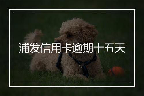 浦发信用卡逾期十五天