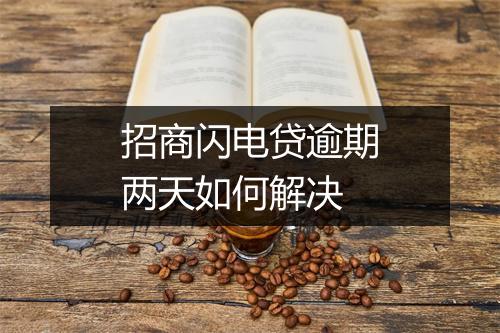 招商闪电贷逾期两天如何解决