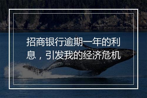 招商银行逾期一年的利息，引发我的经济危机