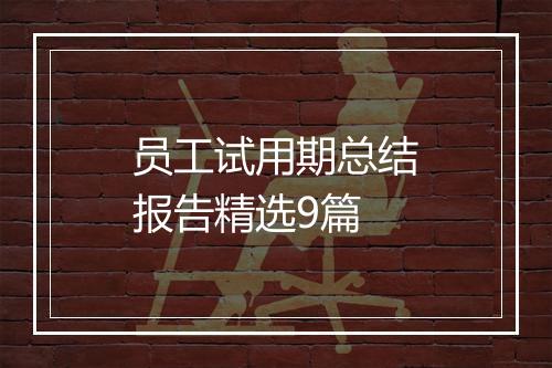 员工试用期总结报告精选9篇