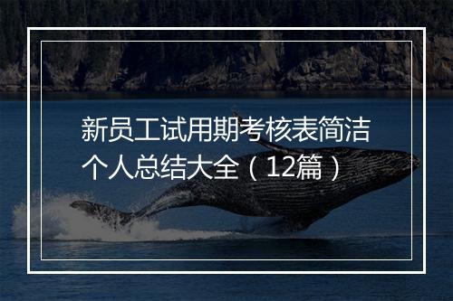 新员工试用期考核表简洁个人总结大全（12篇）
