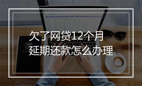 欠了网贷12个月延期还款怎么办理