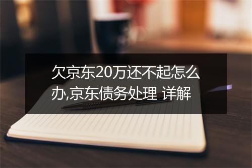 欠京东20万还不起怎么办,京东债务处理 详解