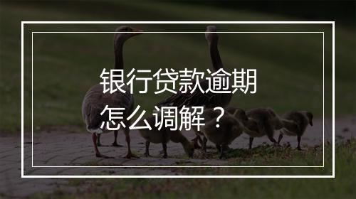 银行贷款逾期怎么调解？
