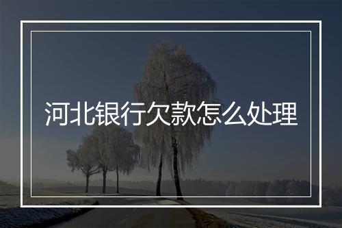 河北银行欠款怎么处理