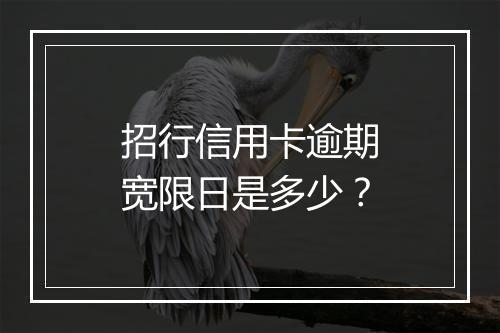 招行信用卡逾期宽限日是多少？