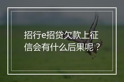 招行e招贷欠款上征信会有什么后果呢？