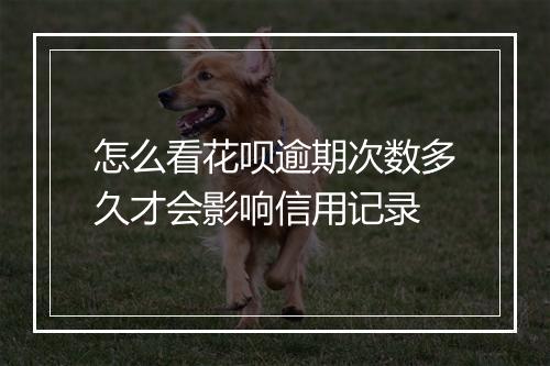 怎么看花呗逾期次数多久才会影响信用记录
