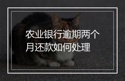 农业银行逾期两个月还款如何处理