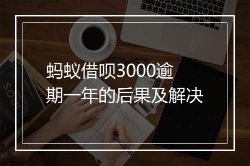 蚂蚁借呗3000逾期一年的后果及解决