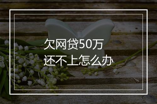 欠网贷50万还不上怎么办