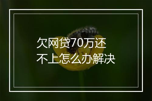 欠网贷70万还不上怎么办解决