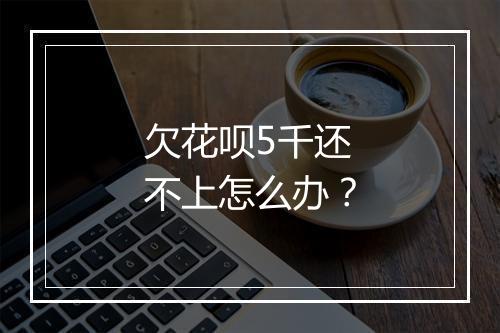欠花呗5千还不上怎么办？