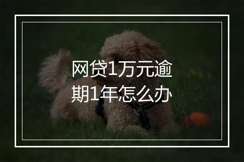 网贷1万元逾期1年怎么办