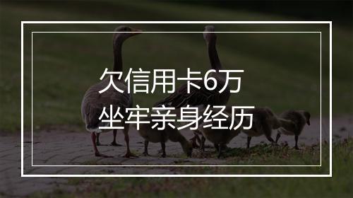 欠信用卡6万坐牢亲身经历