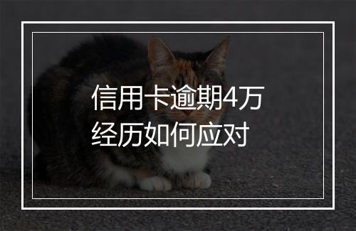 信用卡逾期4万经历如何应对