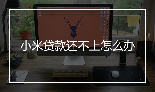 小米贷款还不上怎么办
