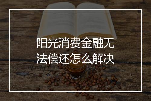 阳光消费金融无法偿还怎么解决