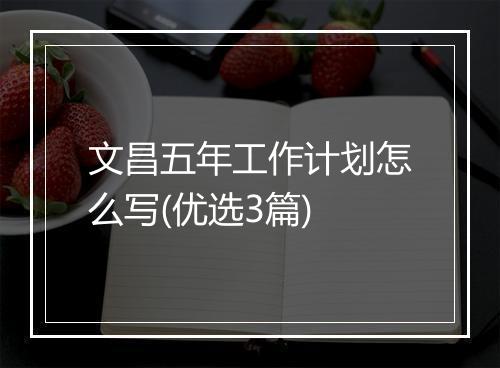 文昌五年工作计划怎么写(优选3篇)