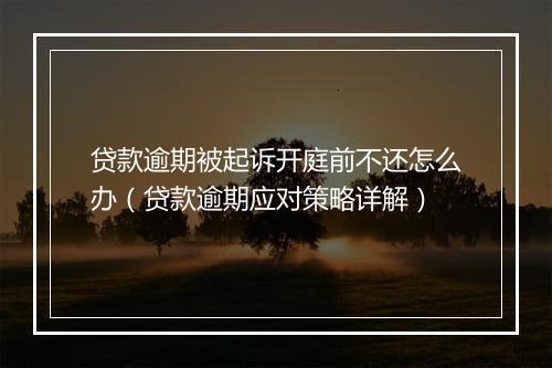 贷款逾期被起诉开庭前不还怎么办（贷款逾期应对策略详解）
