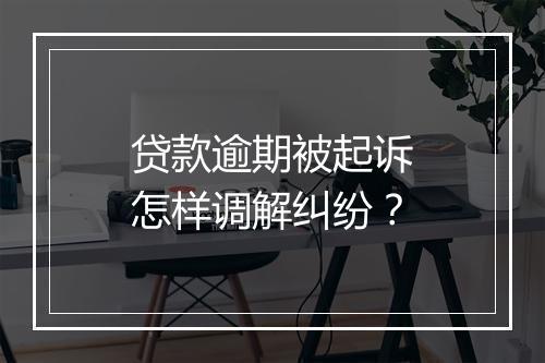 贷款逾期被起诉怎样调解纠纷？