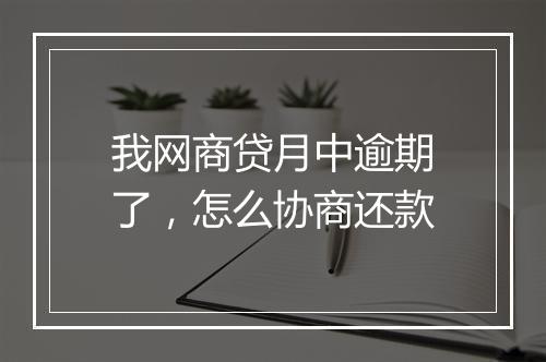 我网商贷月中逾期了，怎么协商还款