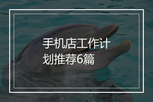 手机店工作计划推荐6篇