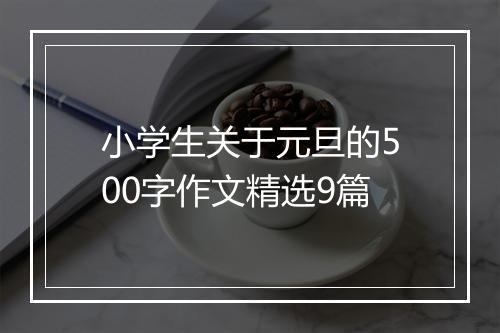 小学生关于元旦的500字作文精选9篇