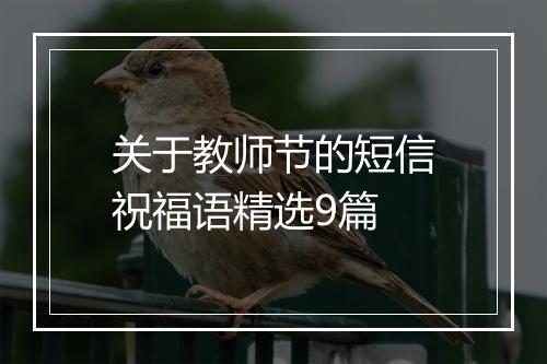 关于教师节的短信祝福语精选9篇