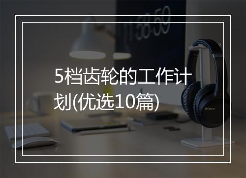 5档齿轮的工作计划(优选10篇)