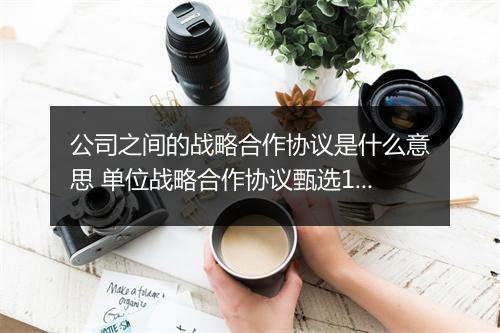 公司之间的战略合作协议是什么意思 单位战略合作协议甄选10篇