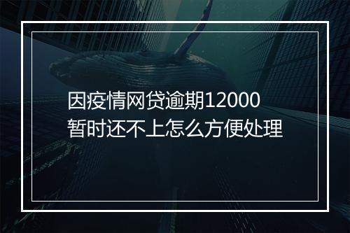 因疫情网贷逾期12000暂时还不上怎么方便处理