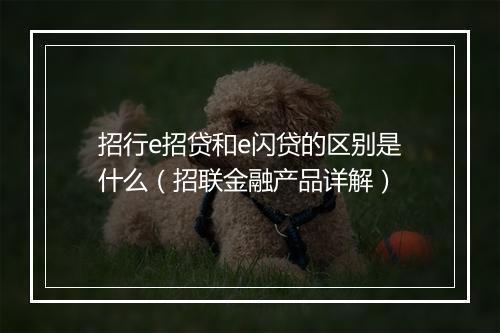 招行e招贷和e闪贷的区别是什么（招联金融产品详解）