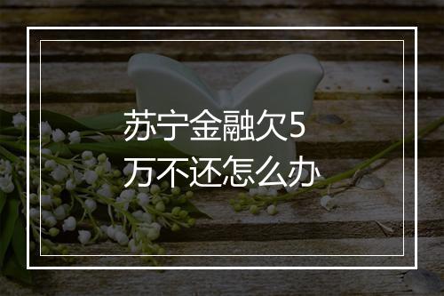 苏宁金融欠5万不还怎么办