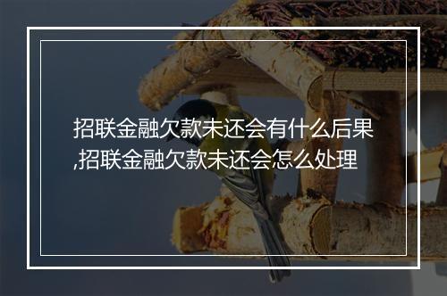 招联金融欠款未还会有什么后果,招联金融欠款未还会怎么处理